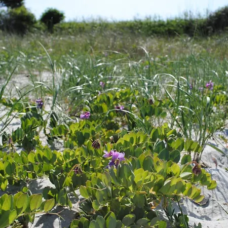 Casa de Férias Ostsee-engel