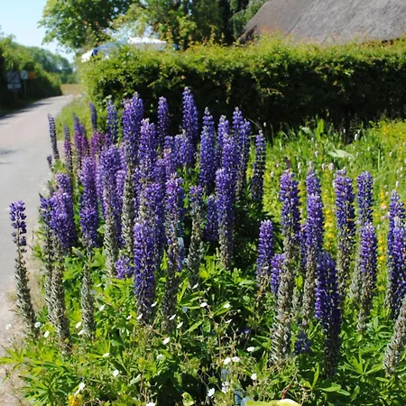 Holiday home Ostsee-engel *