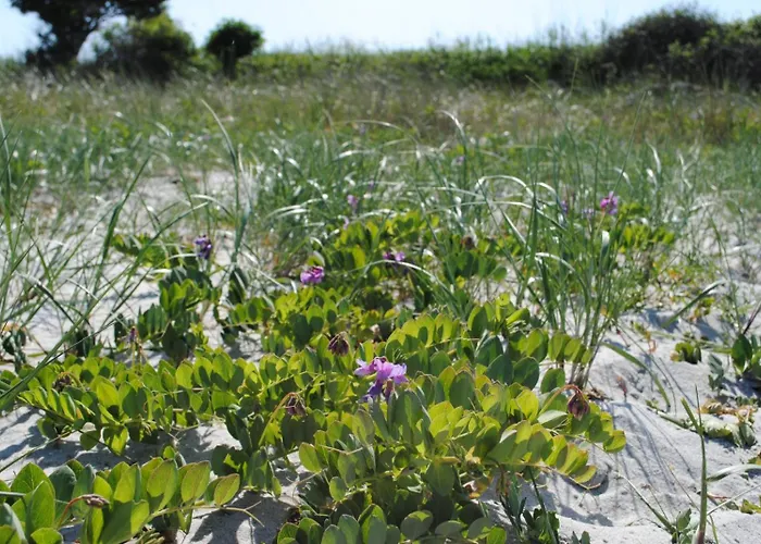 Casa de Férias Ostsee-engel