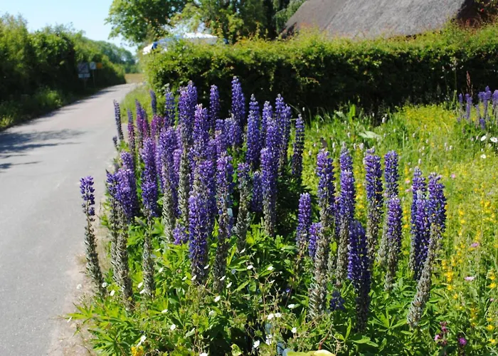 Casa de Férias Ostsee-engel *