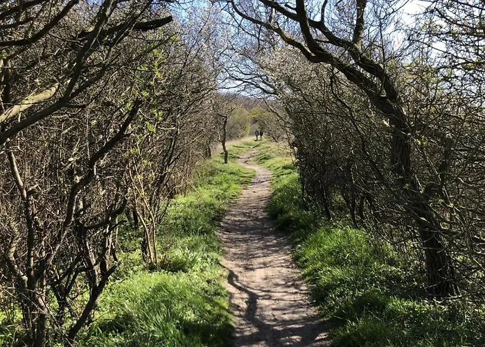 Casa de Férias Ostsee-engel *